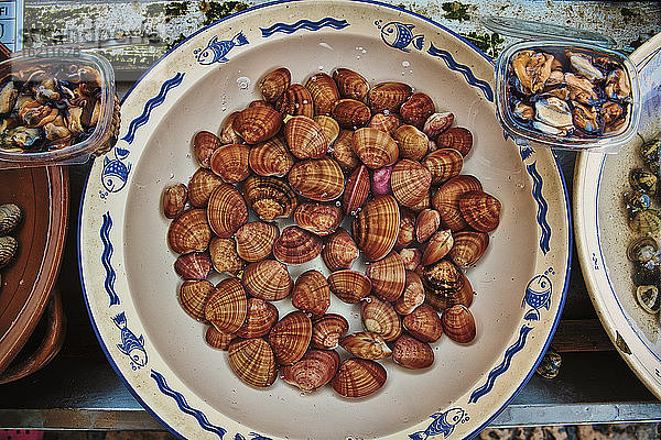 Italien  Apulien  Frische Muscheln auf dem Fischmarkt