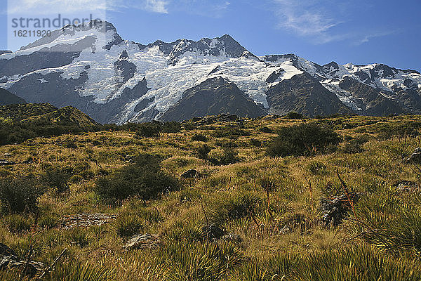 Neuseeland  Grasland  schneebedeckte Berge im Hintergrund
