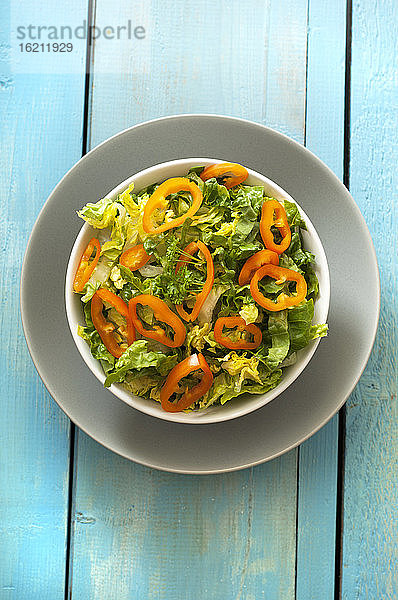 Grüner Salat mit Paprika in einer Schüssel  Nahaufnahme