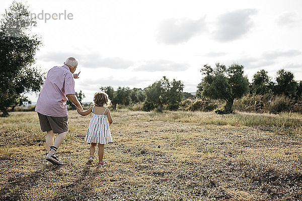 Großvater mit Enkelin spazieren auf einer Wiese gegen den Himmel