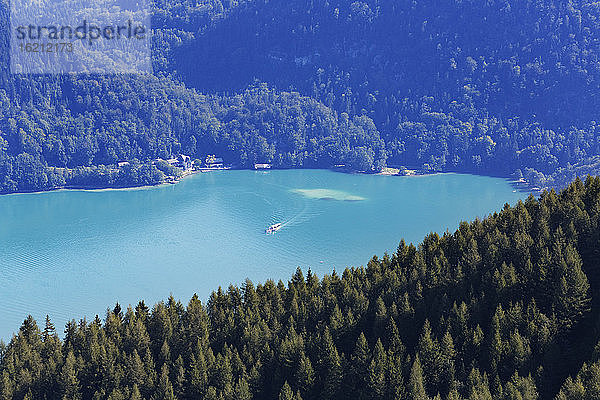 Österreich  Salzkammergut  Blick auf den Wolfgangsee mit Bäumen