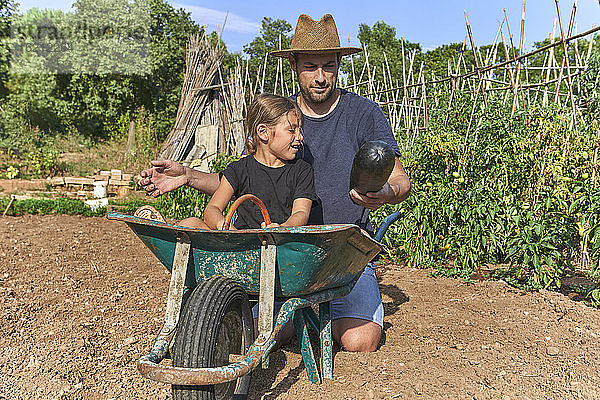Vater zeigt seiner Tochter in der Schubkarre sitzend eine Zucchini