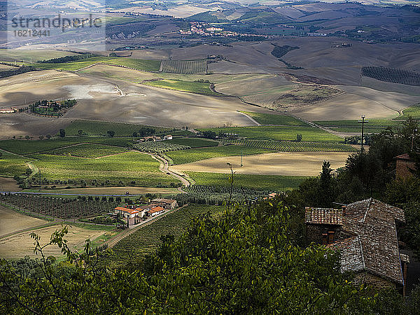 Italien  Blick auf die Toskana von Montalcino aus