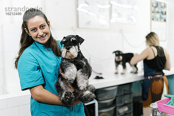 Lächelnde Hundefrisörin  die einen Schnauzer trägt  während sie in einer Tierhandlung steht