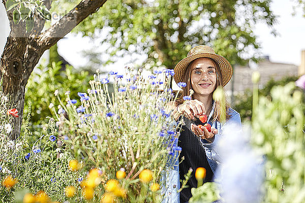 Lächelnde junge Frau isst Erdbeere  während sie inmitten von Pflanzen im Garten sitzt