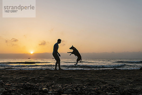 Silhouette Mann hat Spaß mit seinem Hund am Strand während der Morgendämmerung