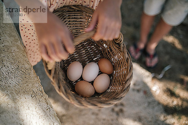 Mädchen hält Korb mit Eiern in Hühnerfarm