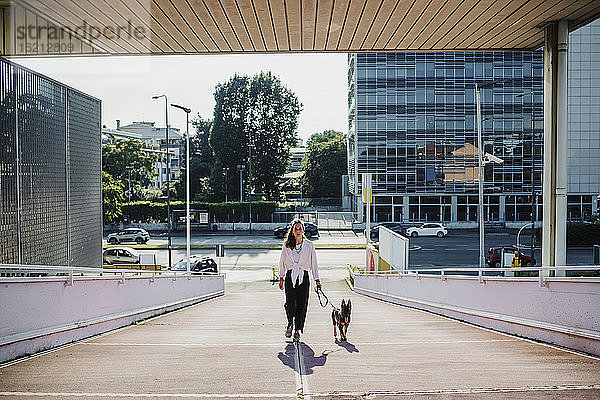 Frau geht mit Hund auf erhöhtem Gehweg spazieren