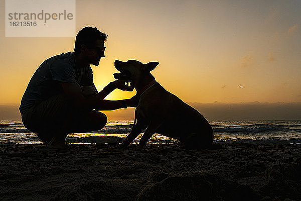 Silhouette Mann verbringt Zeit mit seinem Hund am Strand