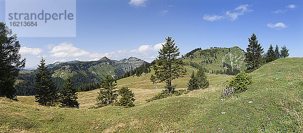 Österreich  Blick auf eine Alm mit Osterhorngruppe bei der Postalm