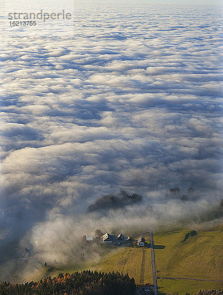 Österreich  Salzkammergut  Blick auf nebelverhangenes Bauernhaus