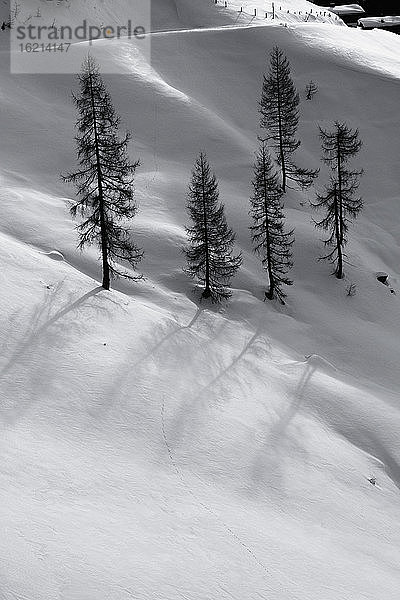 Österreich  Tirol  Winterlandschaft des Brechhorns