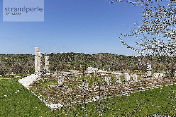Türkei  Ansicht des Apollo-Smintheus-Tempels
