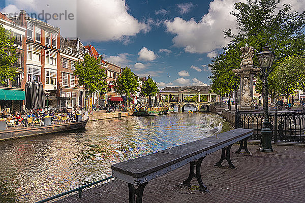 Niederlande  Südholland  Leiden  Bank am Rande des Nieuwe Rjin-Kanals mit Koornbrug im Hintergrund