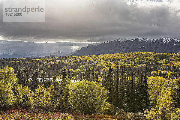 Kanada  Yukon-Territorium  Blick auf die Landschaft