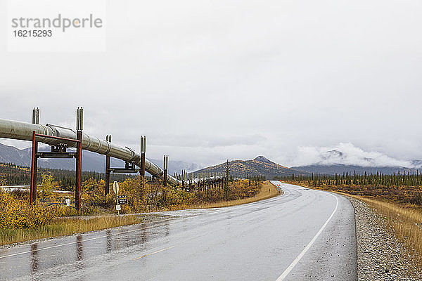 USA  Alaska  Blick auf das Trans-Alaska-Pipelinesystem entlang des Dalton Highway im Herbst