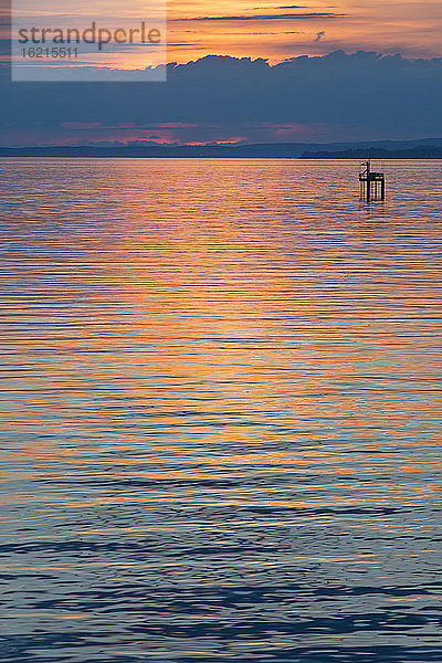 Deutschland  Ansicht einer Boje im Bodensee