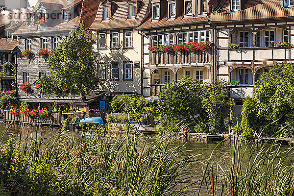 Deutschland  Bayern  Bamberg  Fluss Regnitz und Klein-Venedig-Stadthäuser im Frühling