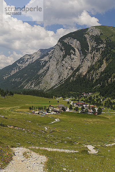 Österreich  Tirol  Blick auf eine Almwiese