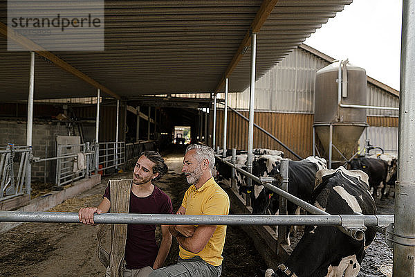 Älterer Bauer mit erwachsenem Sohn im Kuhstall auf einem Bauernhof