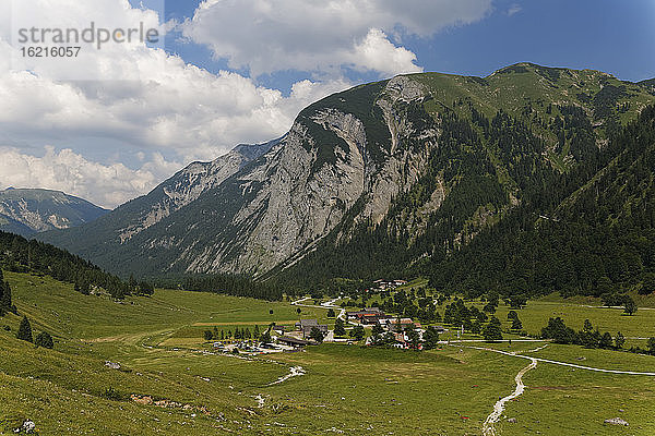 Österreich  Tirol  Blick auf eine Almwiese