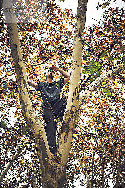 Niedriger Blickwinkel eines jungen Mannes  der wegschaut  während er auf einem Baumstamm steht