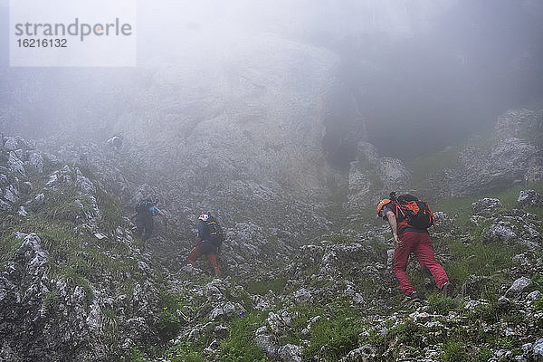 Ältere Männer klettern bei nebligem Wetter auf einen Berg  Bergamasker Alpen  Italien