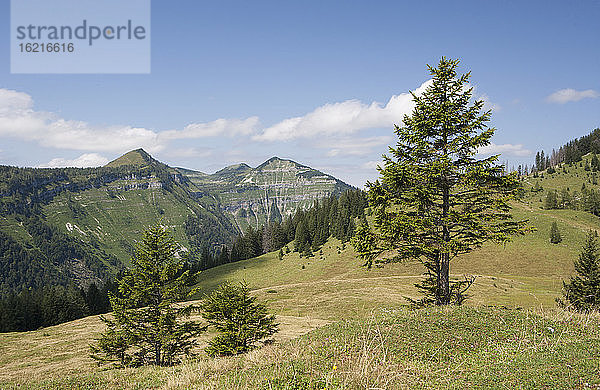 Österreich  Blick auf die Postalm  im Hintergrund die Osterhorngruppe