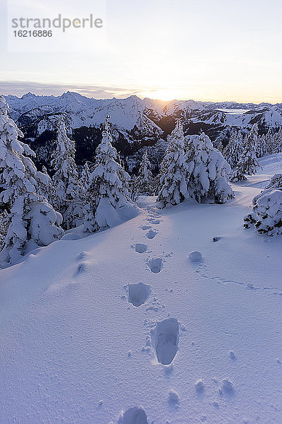 Fußspuren im Schnee bei Sonnenuntergang