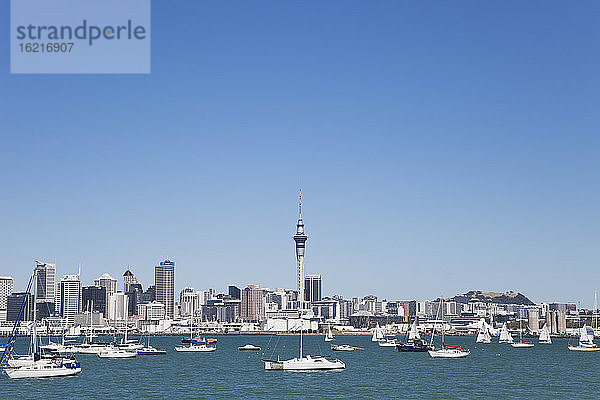 Neuseeland  Auckland  Blick auf die Stadt und Mount Eden im Hintergrund
