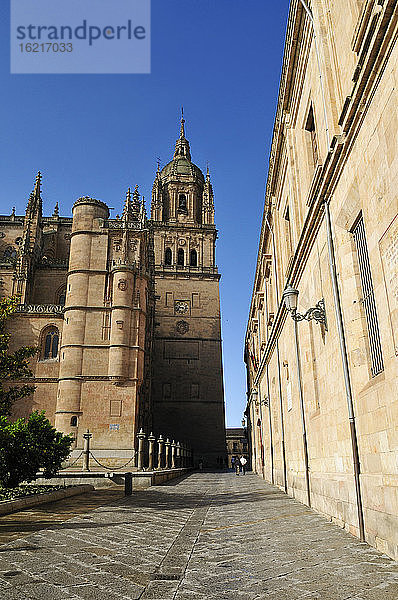 Europa  Spanien  Kastilien und Leon  Salamanca  Ansicht der Kathedrale