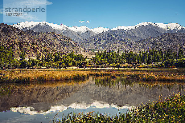 Indien  Ladakh  Leh  Himalaya  der sich in einem glänzenden See spiegelt