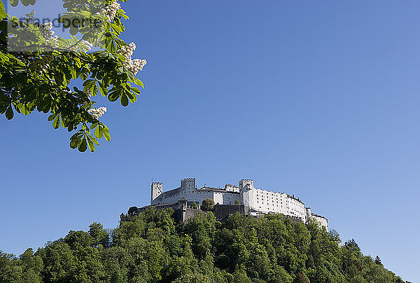 Österreich  Salzburg  Blick auf die Burg Hohensalzburg