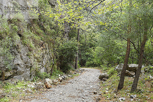 Türkei  Dilek-Wald-Nationalpark