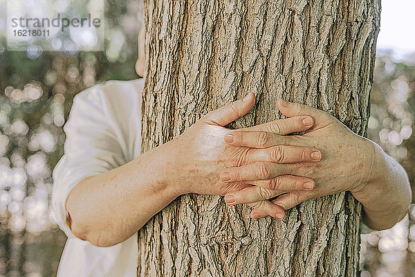 Hände einer älteren Frau umarmen einen Baumstamm im Garten