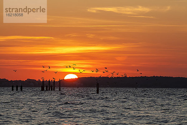 Deutschland  Schleswig Holstein  Sonnenuntergang an der Ostsee