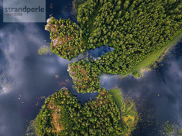 Luftaufnahme des grünen Waldes um den Fluss Vuoksi im Sommer