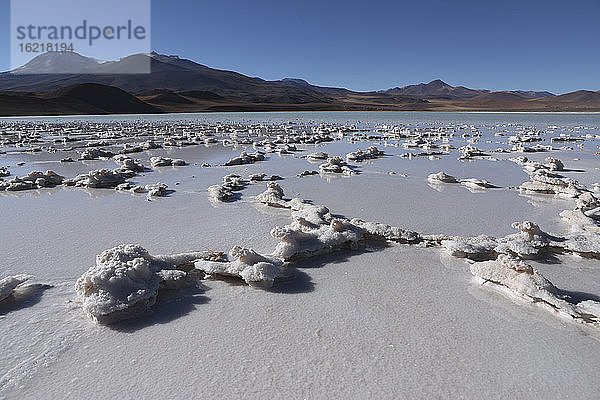 Chile  Blick auf die Lagune Tuyajto