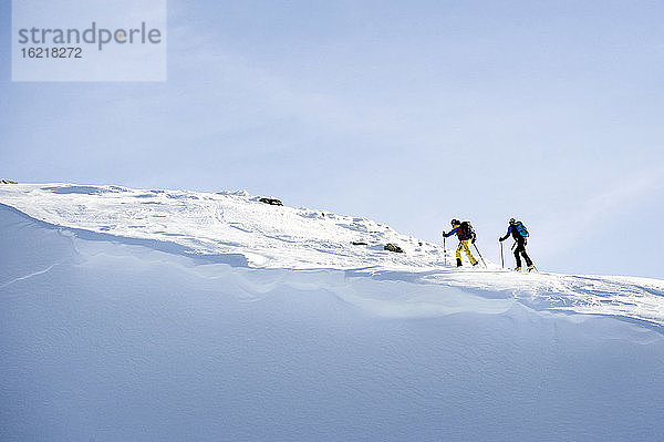 Österreich  Männer beim Skifahren am Berg im Alpbachtal