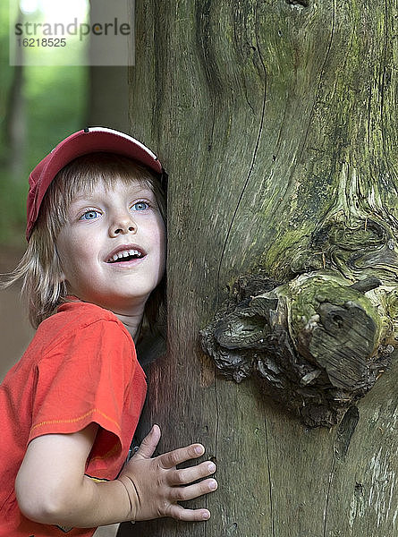 Österreich  Junge lehnt an Baumstamm  lächelnd