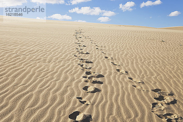 Neuseeland  Fußabdrücke in den Te Paki Sanddünen
