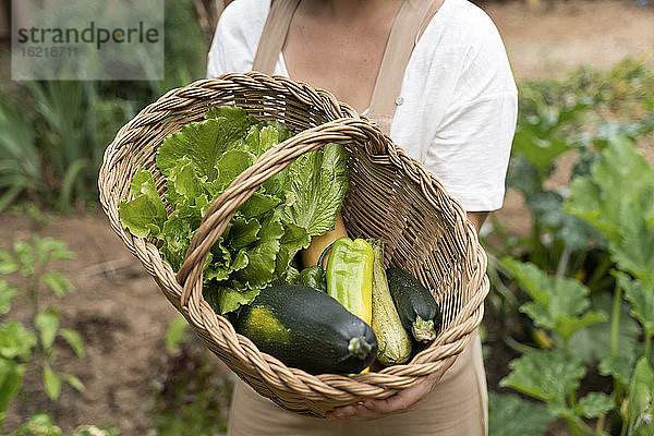 Nahaufnahme einer jungen Frau  die einen Weidenkorb mit Gemüse im Garten hält