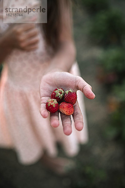 Nahaufnahme eines Mädchens mit Erdbeeren auf einem Bio-Bauernhof