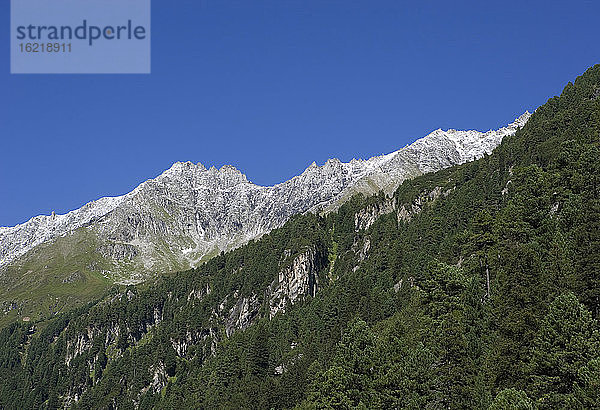 Österreich  Krimmler Achental  Gebirge  Waldgebiet