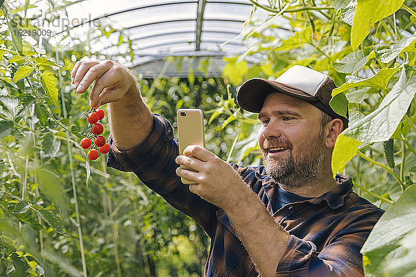 Lächelnder Bauer mit geernteten Tomaten und Mobiltelefon