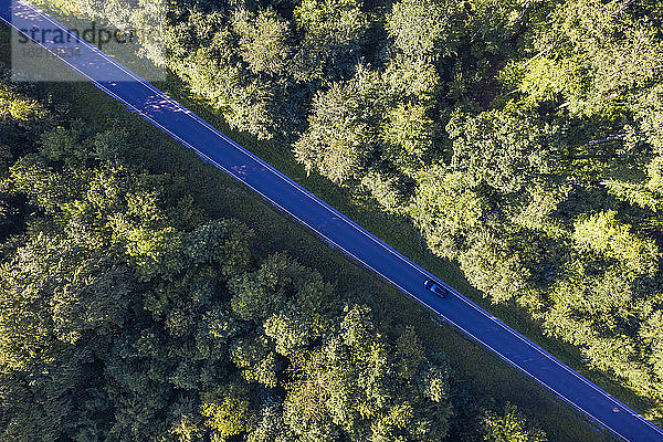 Luftaufnahme einer asphaltierten Straße  die durch einen grünen Fichtenwald auf der Schwäbischen Alb führt