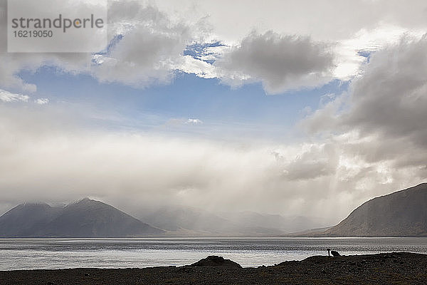 USA  Alaska  Blick auf den Turnagain Arm