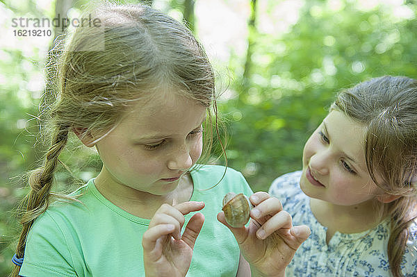 Deutschland  Bayern  München  Mädchen begutachten Schnecke  Nahaufnahme