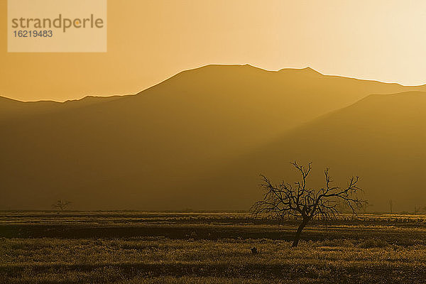 Afrika  Namibia  Tsauchab River  Landschaft bei Sonnenuntergang