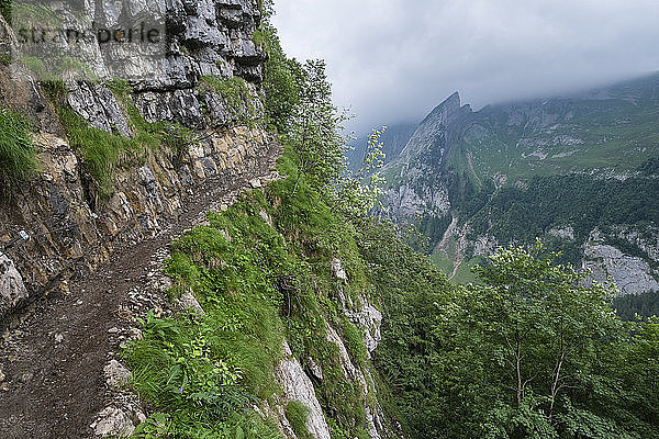 Schweiz  Blick auf den Wanderweg von der Meglisalp hinunter zum Seealpsee